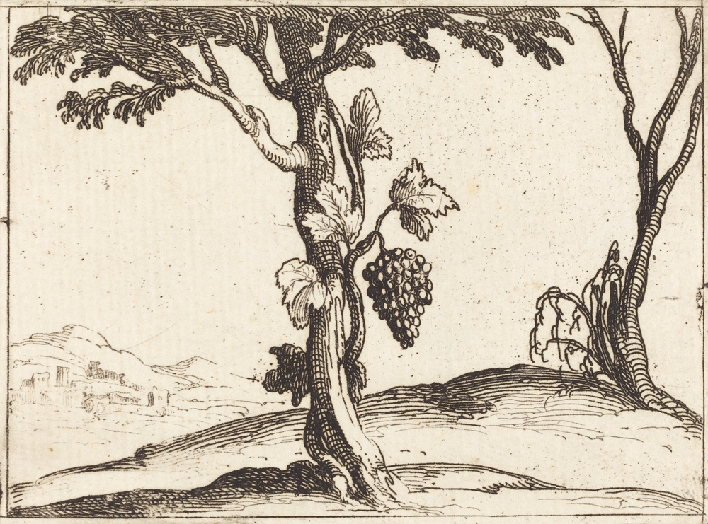 Bunch,Of,Grapes,By,Jacques,Callot.,Vintage,Nature,Landscape,Artwork.