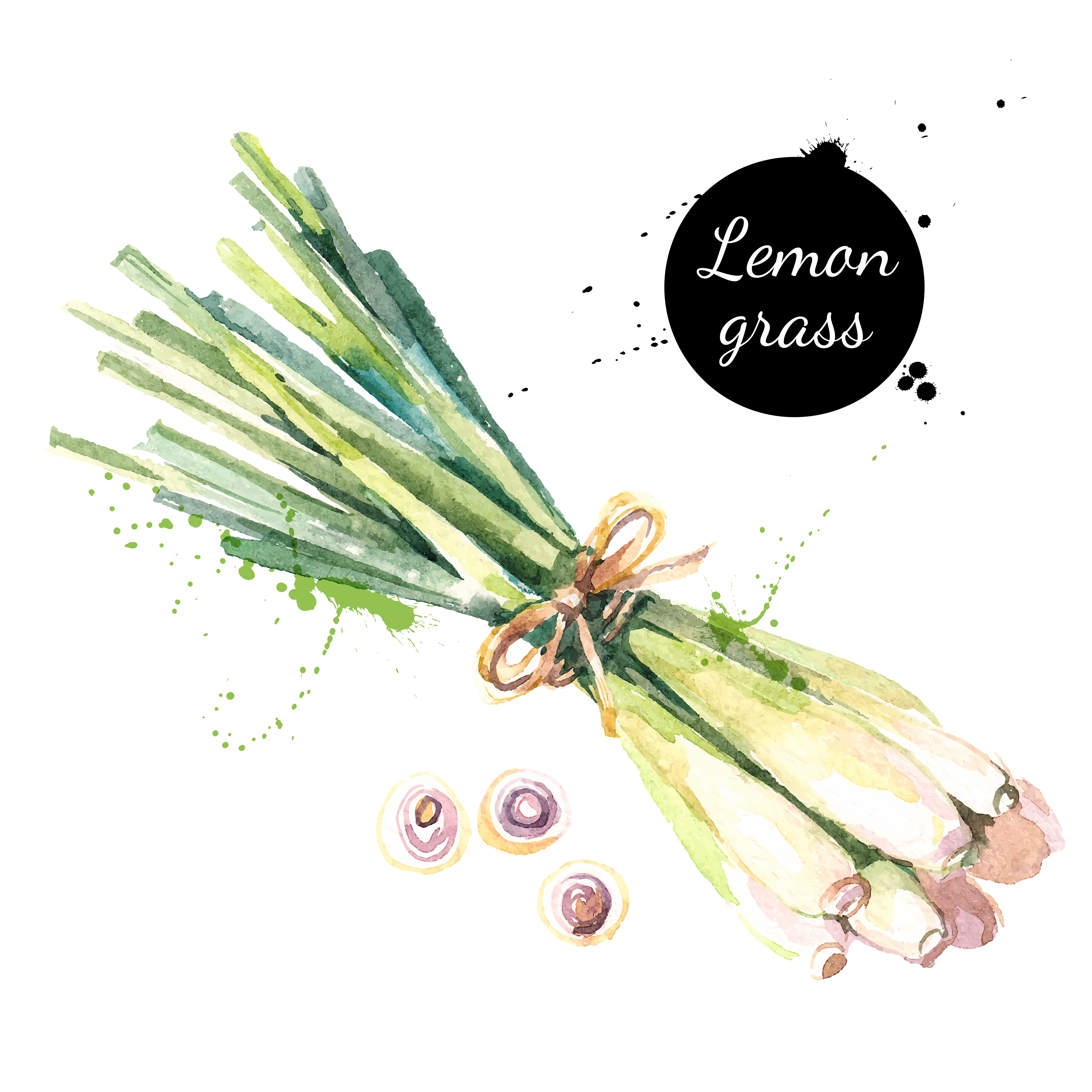 Lemon,Grass.,Hand,Drawn,Watercolor,Painting,On,White,Background.,Vector